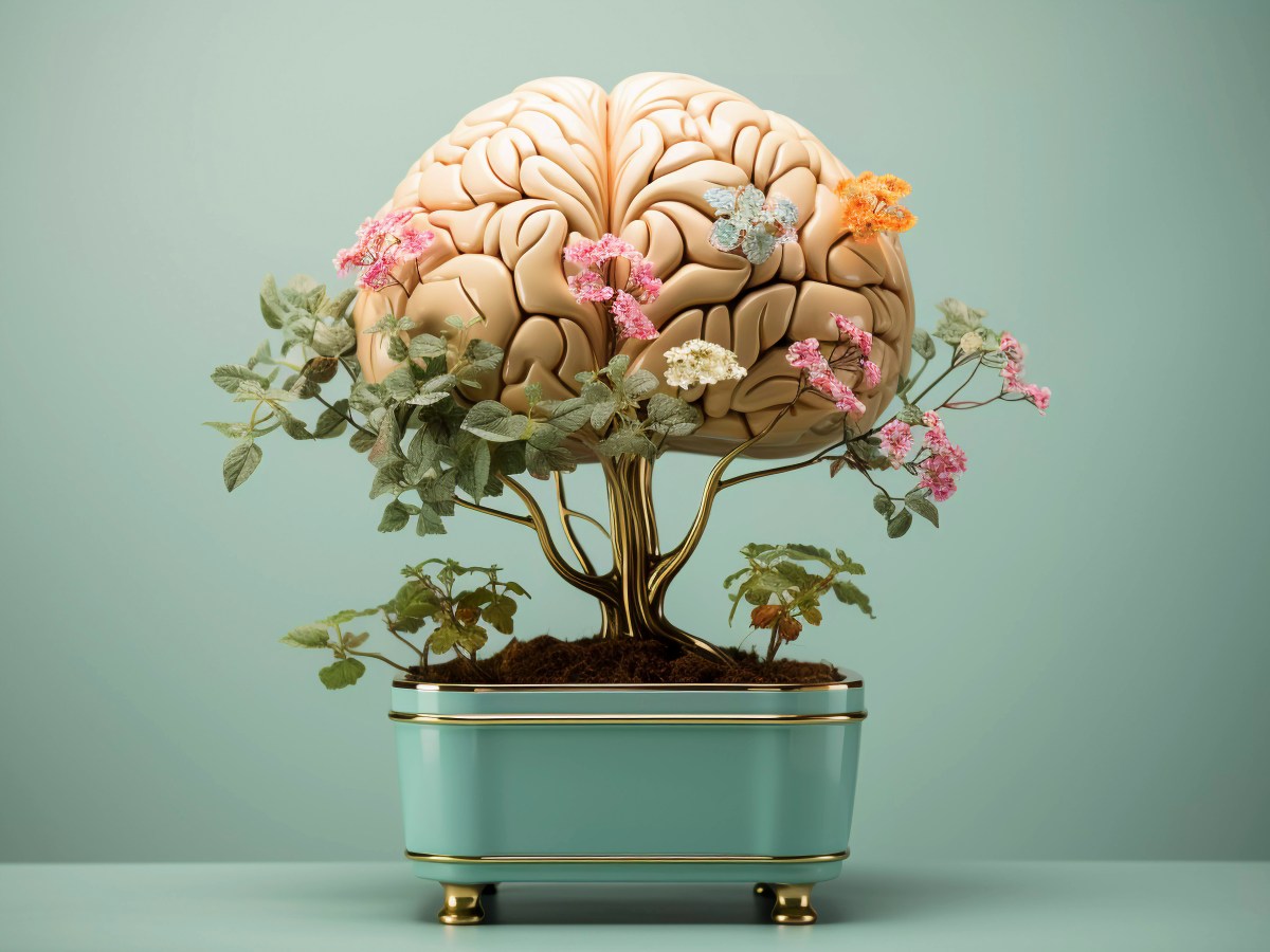 L&rsquo;évolution du cerveau chez l&rsquo;enfant et l&rsquo;adolescent : un voyage fascinant dans la neuroplasticité.